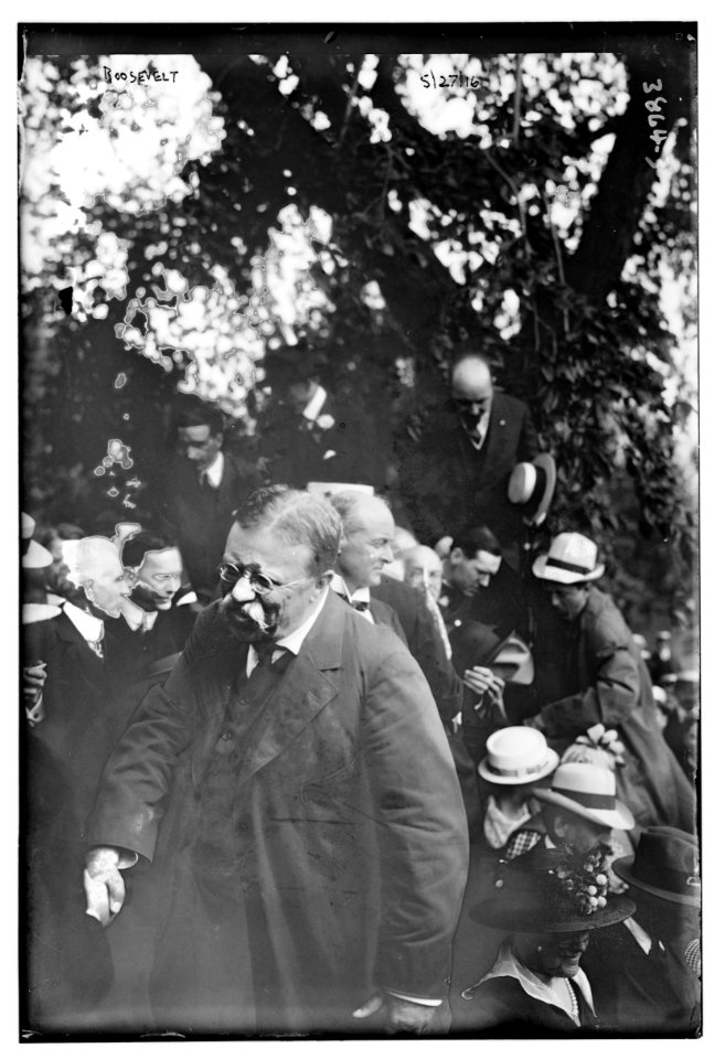 Roosevelt - 1916 LCCN2014701741