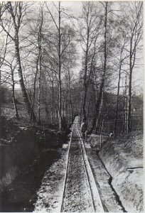 Rollbahn beim Steinbruch in Dryszczow (BildID 15438362)