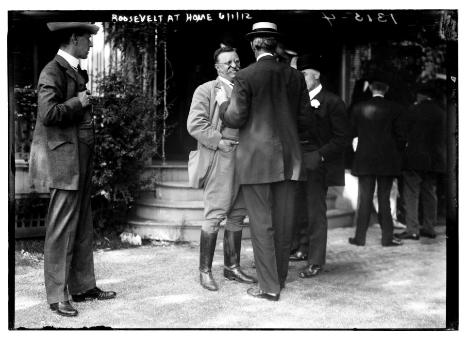 Roosevelt at home LCCN2014686887