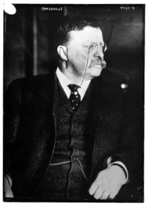 Roosevelt LCCN2014706332
