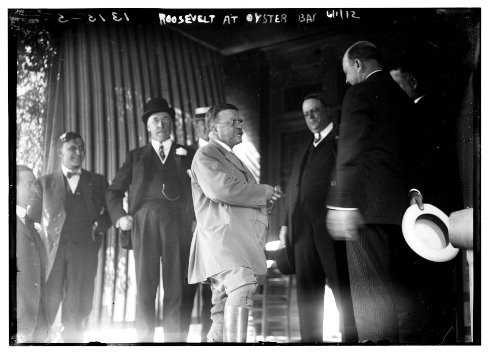 Roosevelt at Oyster Bay LCCN2014686888