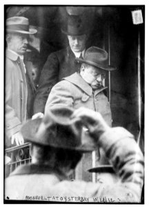 Roosevelt at Oyster Bay LCCN2014690856