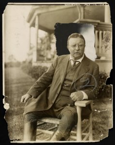 Roosevelt of to-day LCCN2013650909