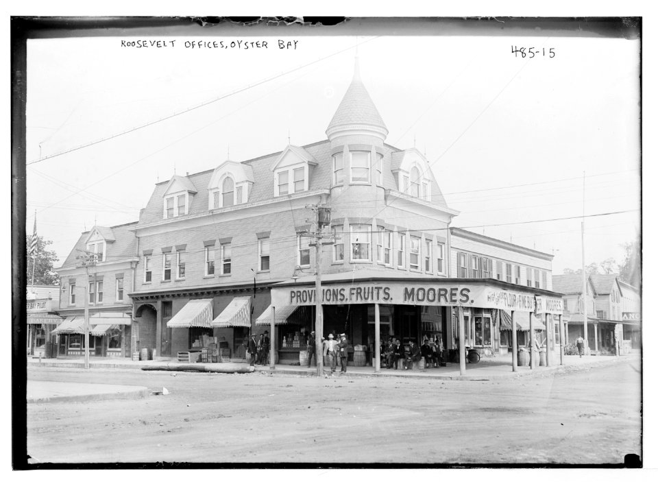 Roosevelt offices, Oyster Bay LCCN2014682309