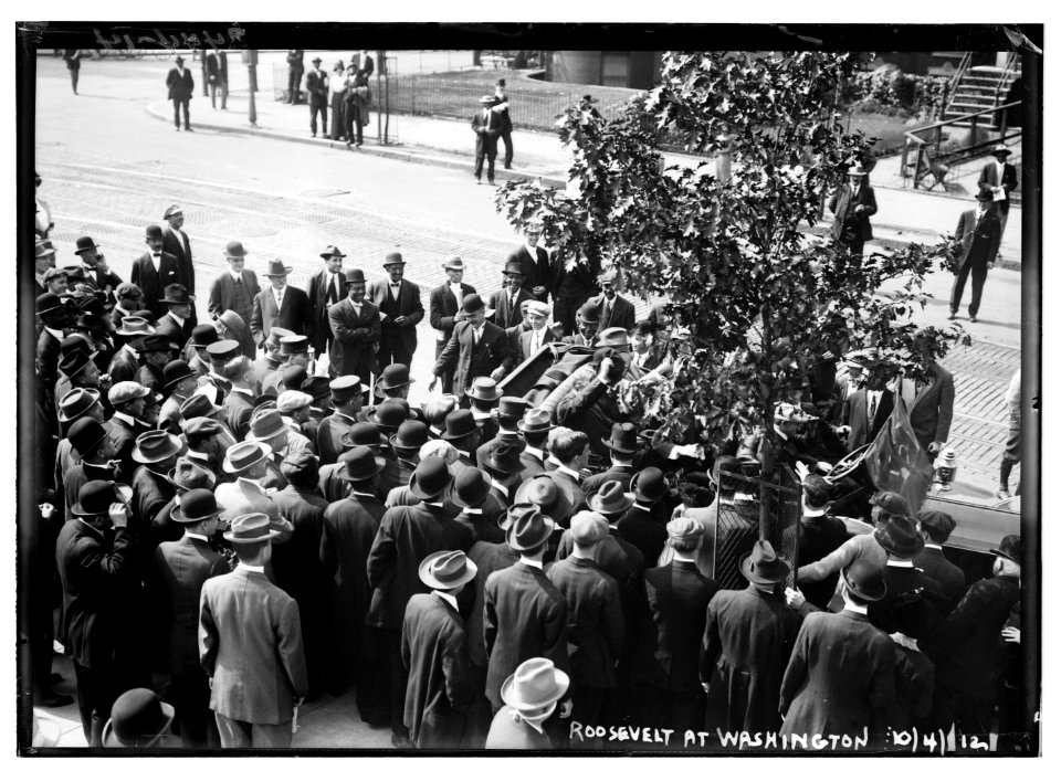 Roosevelt at Washington, 1912 LCCN2014690807