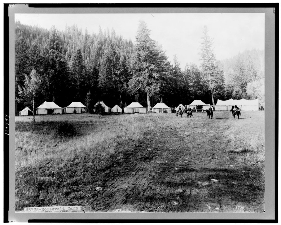 Roosevelt Camp LCCN98505454