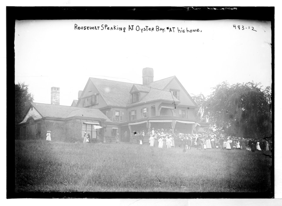 Roosevelt speaking at Oyster Bay, at his home (New York) LCCN2014682283