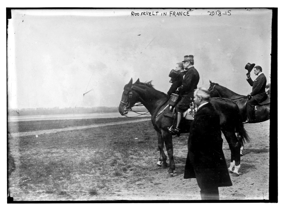 Roosevelt in France LCCN2014696633