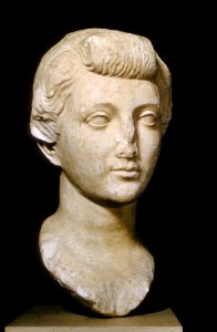 Roman - Portrait of Livia - Walters 23211 - Three Quarter