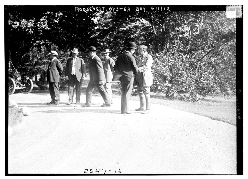 Roosevelt, Oyster Bay LCCN2014692026