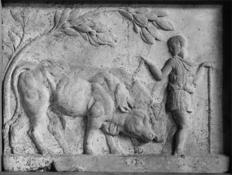 Roman - Relief of a Herdsman and Oxen - Walters 2314