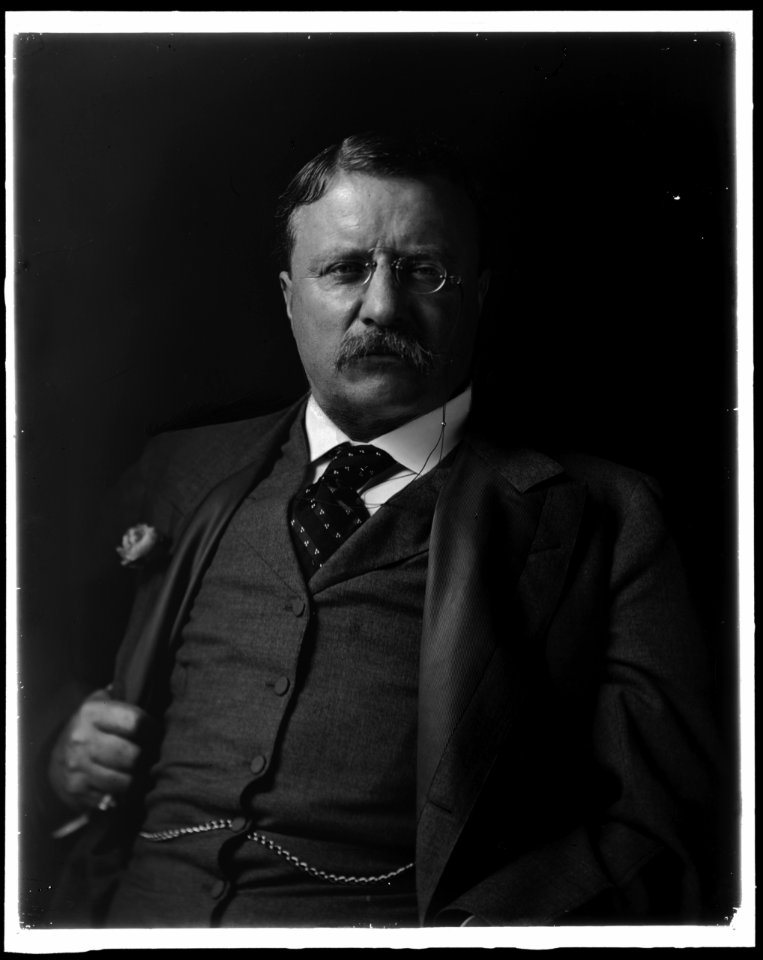 ROOSEVELT, THEODORE LCCN2016870921