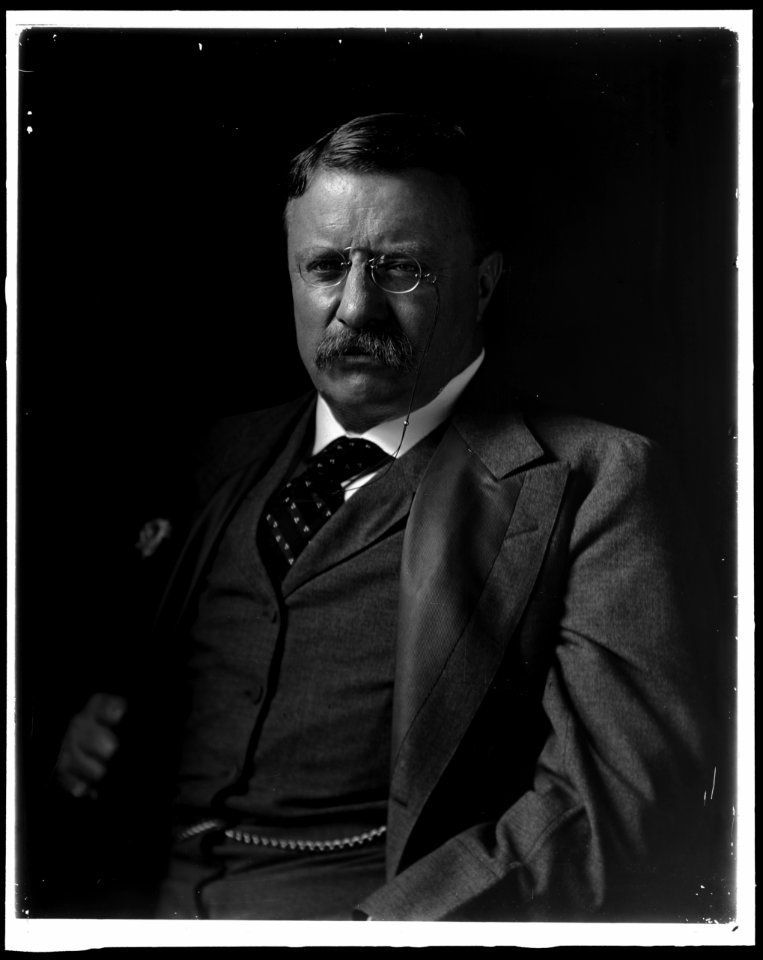 ROOSEVELT, THEODORE LCCN2016870923