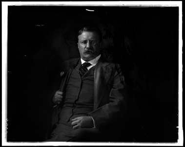 ROOSEVELT, THEODORE LCCN2016870927