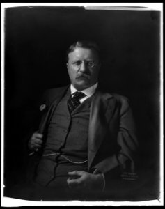 ROOSEVELT, THEODORE LCCN2016870929
