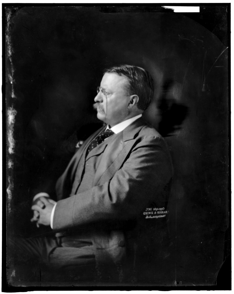 ROOSEVELT, THEODORE LCCN2016870933