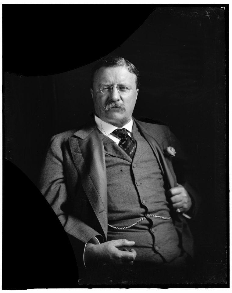 ROOSEVELT, THEODORE LCCN2016870935