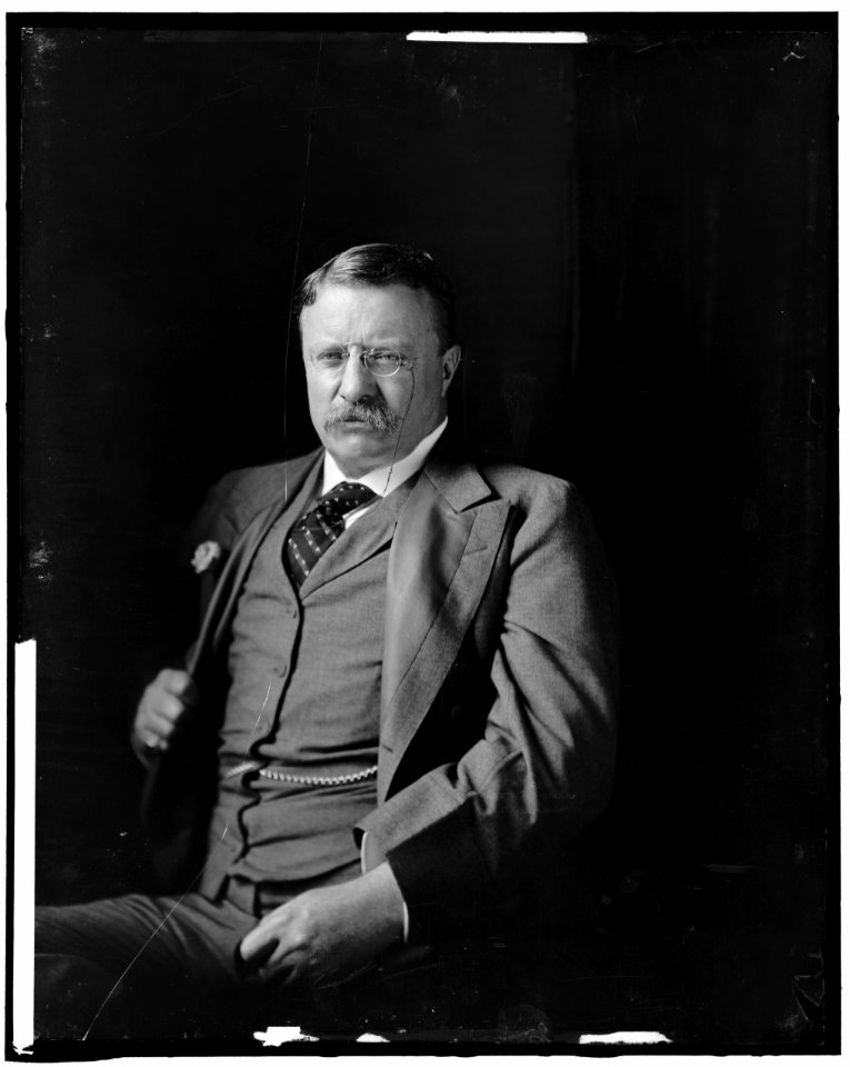 ROOSEVELT, THEODORE LCCN2016870937
