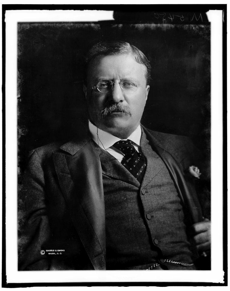 ROOSEVELT, THEODORE LCCN2016870939