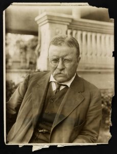 Roosevelt of to-day LCCN2013650916