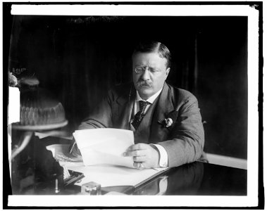 ROOSEVELT, THEODORE. AT DESK LCCN2016870931