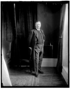 ROOSEVELT, THEODORE. STANDING LCCN2016870942