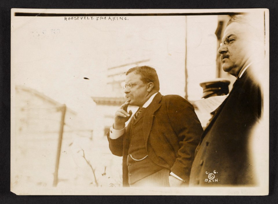 Roosevelt speaking LCCN2013651235