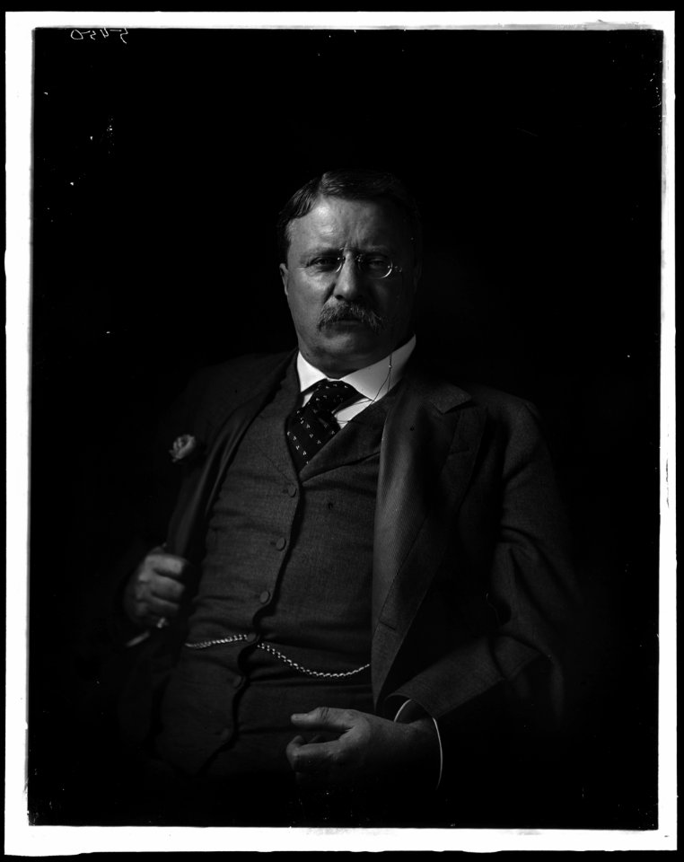 ROOSEVELT, THEODORE LCCN2016870922