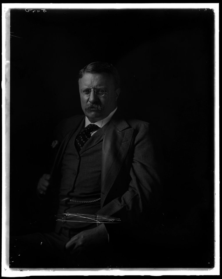 ROOSEVELT, THEODORE LCCN2016870924