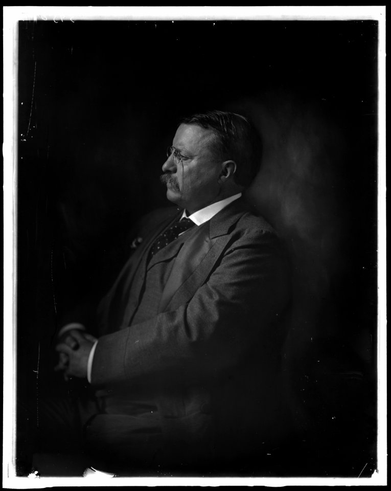 ROOSEVELT, THEODORE LCCN2016870926