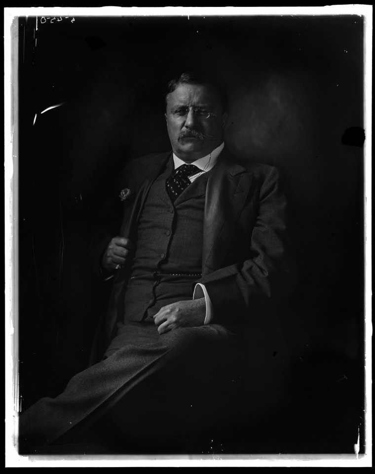 ROOSEVELT, THEODORE LCCN2016870928