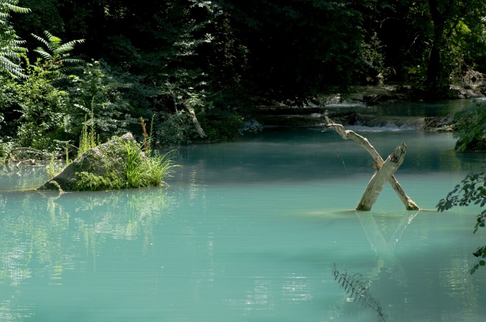 Water landscape green
