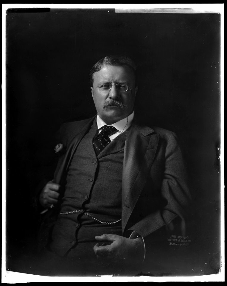 ROOSEVELT, THEODORE LCCN2016870930