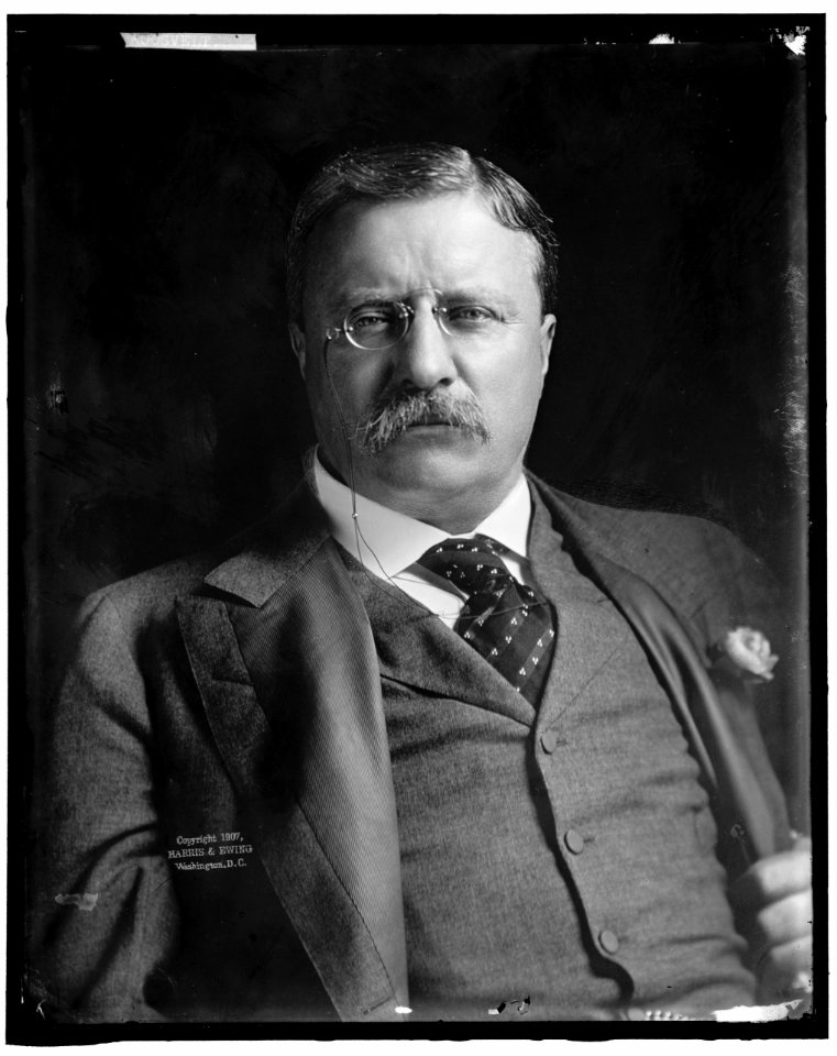 ROOSEVELT, THEODORE LCCN2016870934