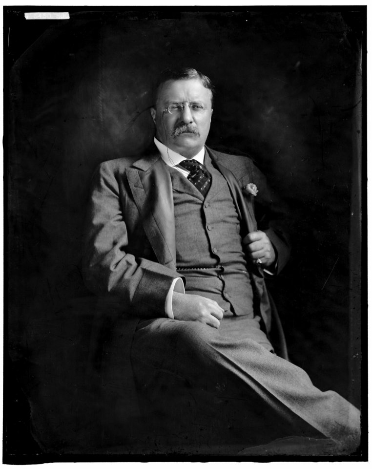 ROOSEVELT, THEODORE LCCN2016870936
