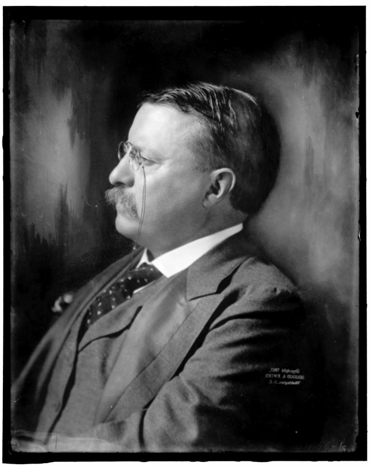 ROOSEVELT, THEODORE LCCN2016870938