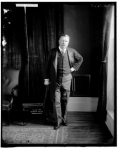 ROOSEVELT, THEODORE LCCN2016870940