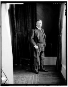 ROOSEVELT, THEODORE. STANDING LCCN2016870941