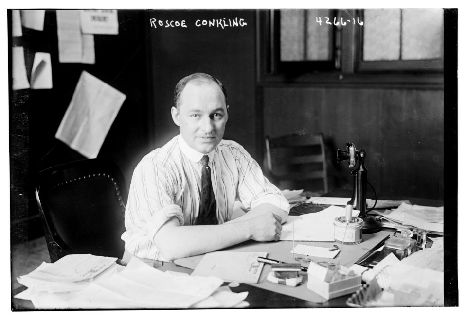 Roscoe Conkling LCCN2014705059
