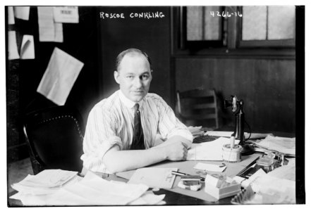Roscoe Conkling LCCN2014705059