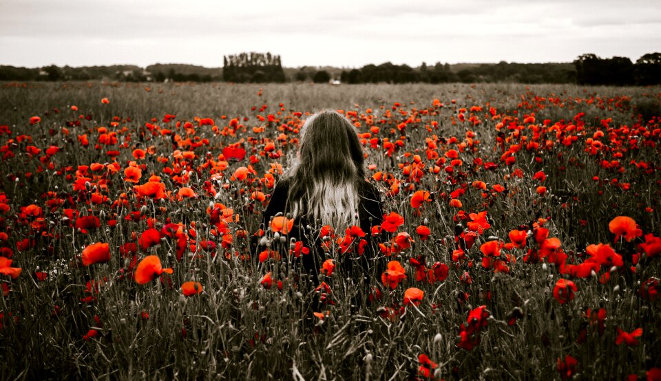 Alone solo field photo