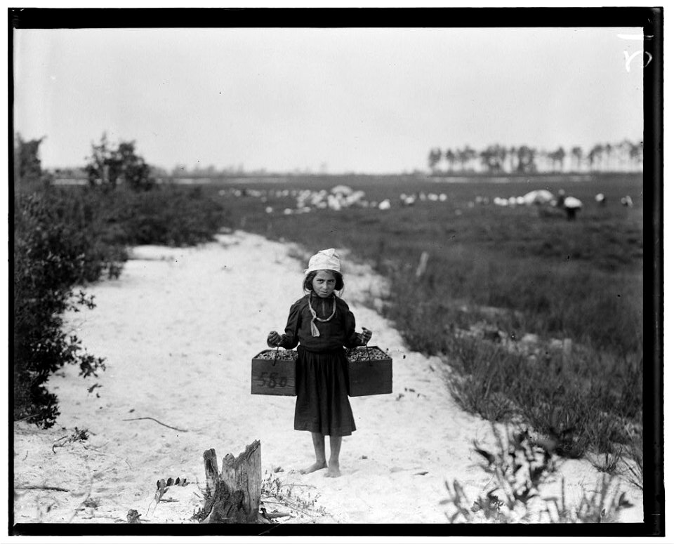 Rose Biodo, 1216 Annan St., Philadelphia. 10 years old. Working 3 summers. Minds baby and carries berries, two pecks at a time. Whites Bog, Brown Mills, N.J. This is the fourth week of LOC nclc.05296