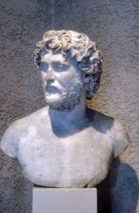 Roman - Portrait of a Man - Walters 2389