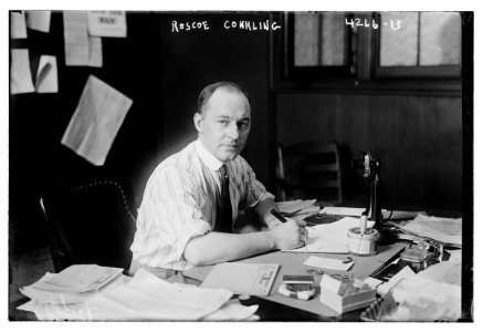 Roscoe Conkling LCCN2014705057
