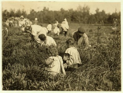 Rose Oquoto, 6 years old, and Flora Oquoto, 7 years old, live at 837 Kimball St., Philadelphia, Pa. Picking cranberries at Theodore Budd's Bog at Turkeytown, near Pemberton, N.J. This is the LOC nclc.05287