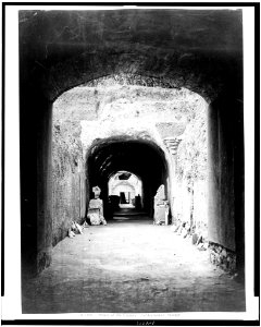 Rome. Palace of the Caesars. Subterranean passage LCCN92501338 photo