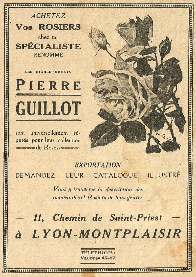 Rosiers Pierre Guillot