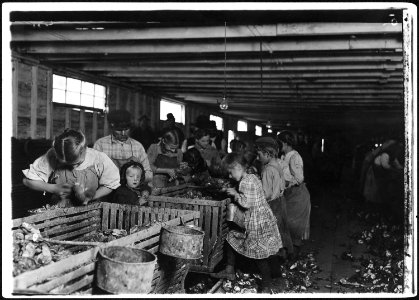 Rosy, an 8 year old oyster shucker works steady all day from about 3 A.M. to 5 P.M. The baby will shuck as soon as... - NARA - 523414