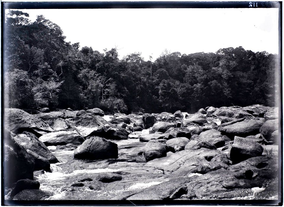 Rotspartijen in een val in het stroomgebied van de Tapanahoni-rivier