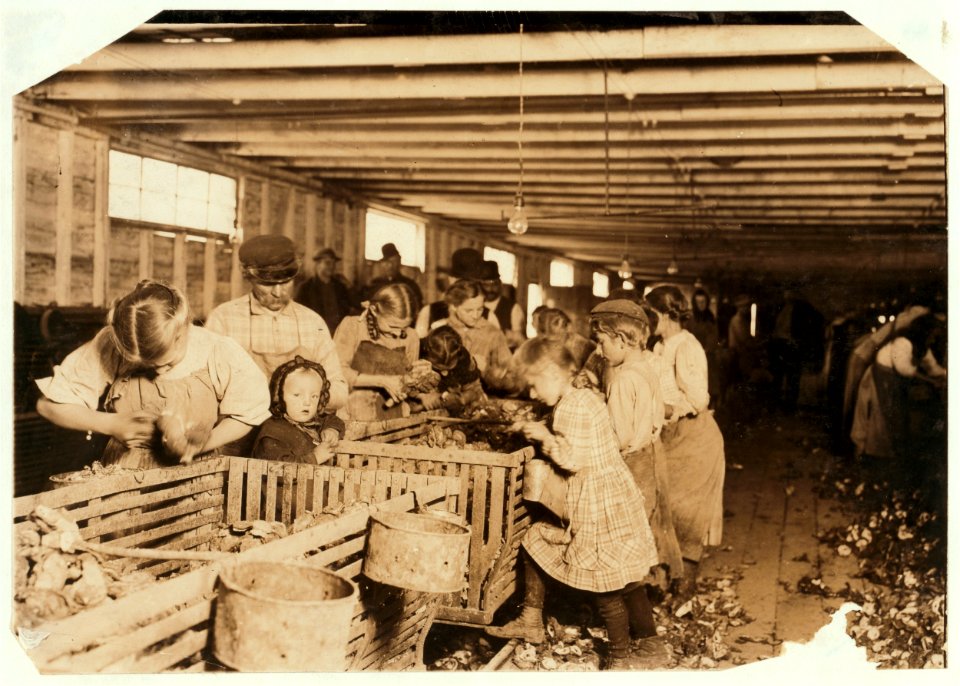 Rosy, an eight-year-old oyster shucker who works steady all day from about 3-00 A.M. to about 5 P.M. in Dunbar Cannery. The baby will shuck as soon as she can handle the knife. LOC cph.3a15215